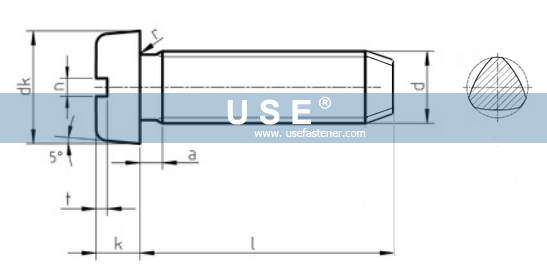 DIN 7500 A - Slotted Cheese Head Thread Rolling Forming Screws